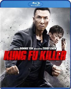film kung fu jungle sub indo film